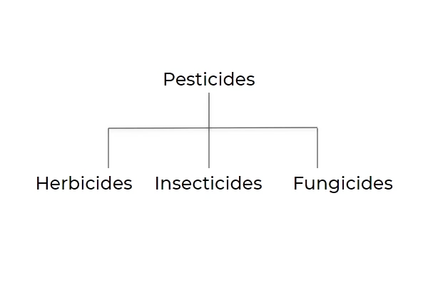 Diagram showing different classes of pesticides